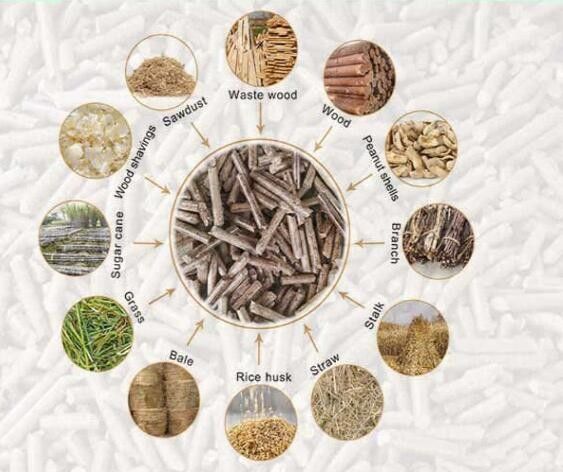 Mercato Pesce macchina per l'alimentazione degli animali a pellet con 55KW e 0.75KW di potenza alimentatrice